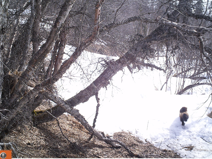 M2E81L223-223R385B328